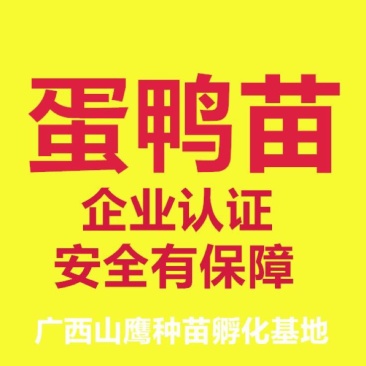 蛋鸭苗35~45克雄