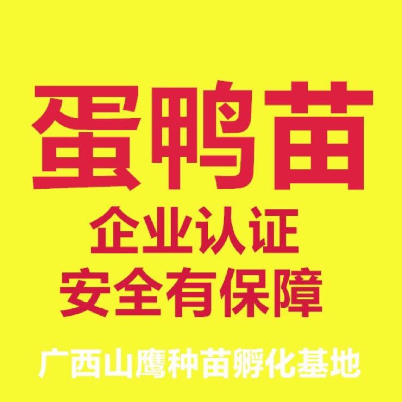 蛋鸭苗35~45克雄