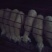 湖羊50~80斤