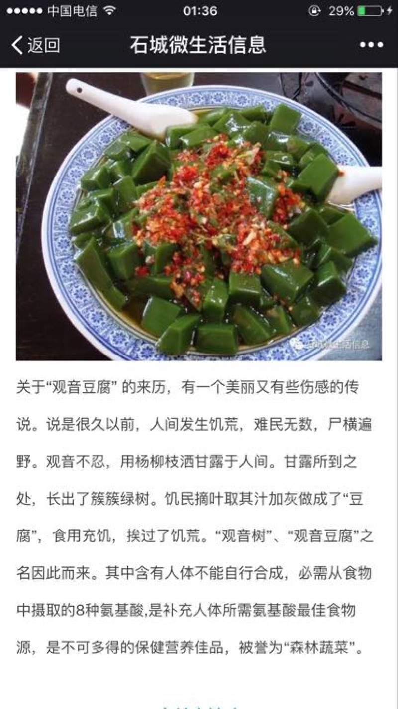 豆腐树苗80~100cm