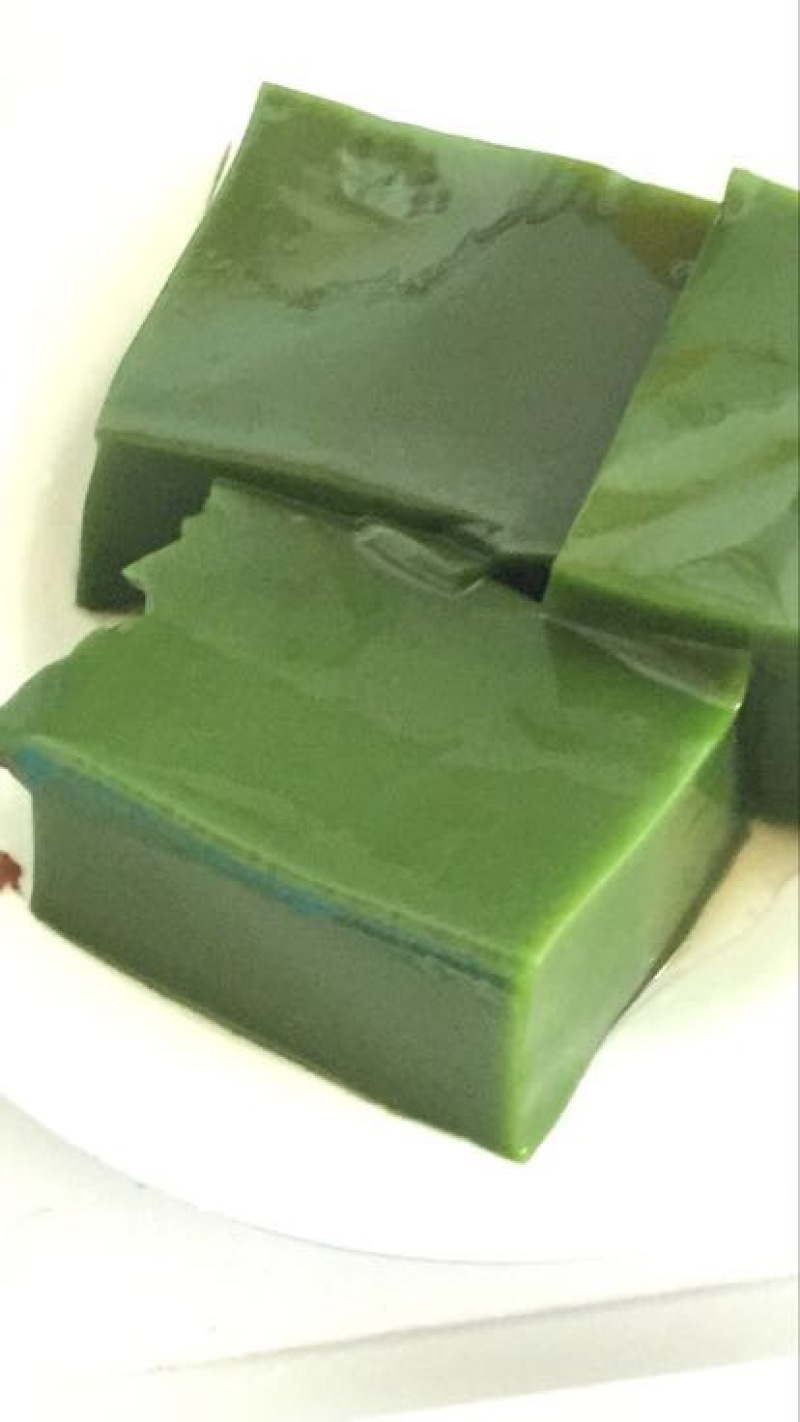 豆腐树苗80~100cm