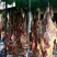 牛肉干牦牛肉鲜肉