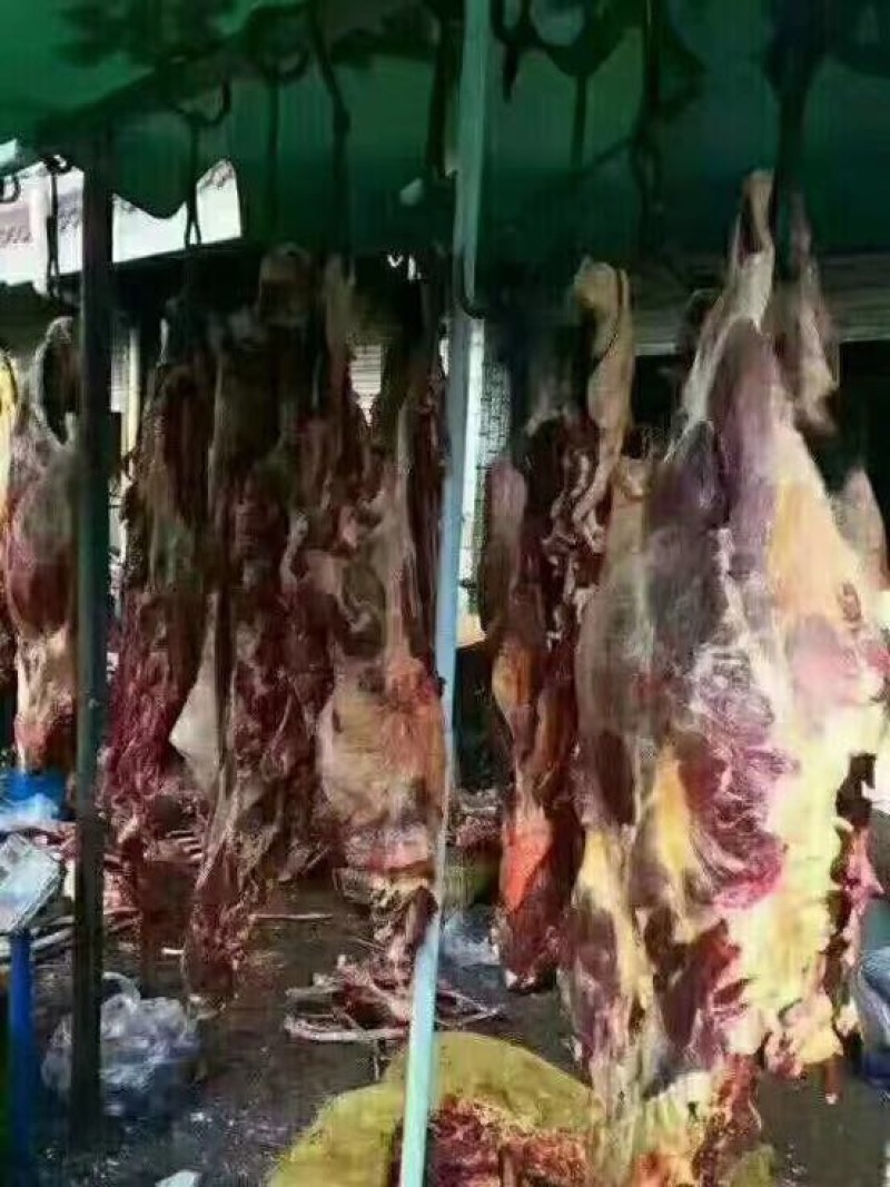 牛肉干牦牛肉鲜肉
