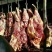 牛肉干牦牛肉鲜肉