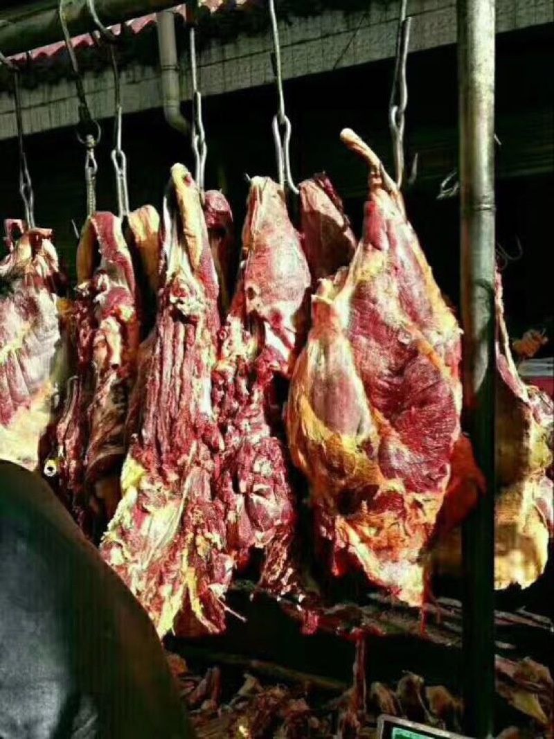 牛肉干牦牛肉鲜肉
