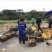 新鲜采摘纽荷尔脐橙70~90mm口感甜美甜蜜多汁