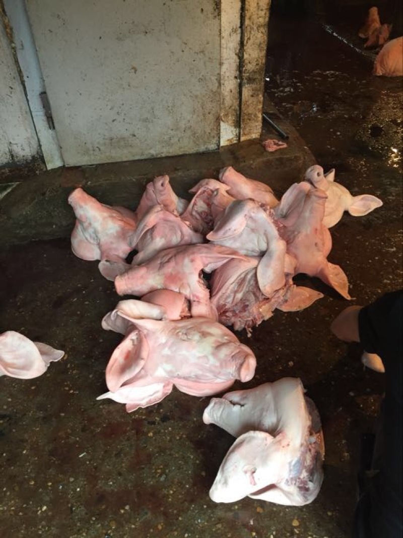 猪头肉散装