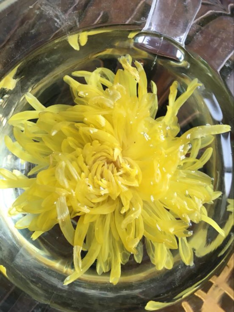 菊花茶一朵一杯清热去火