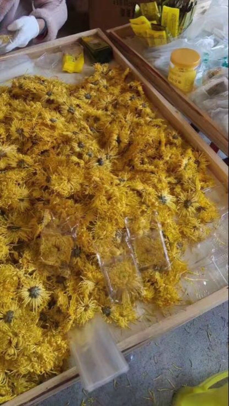 菊花茶一朵一杯清热去火