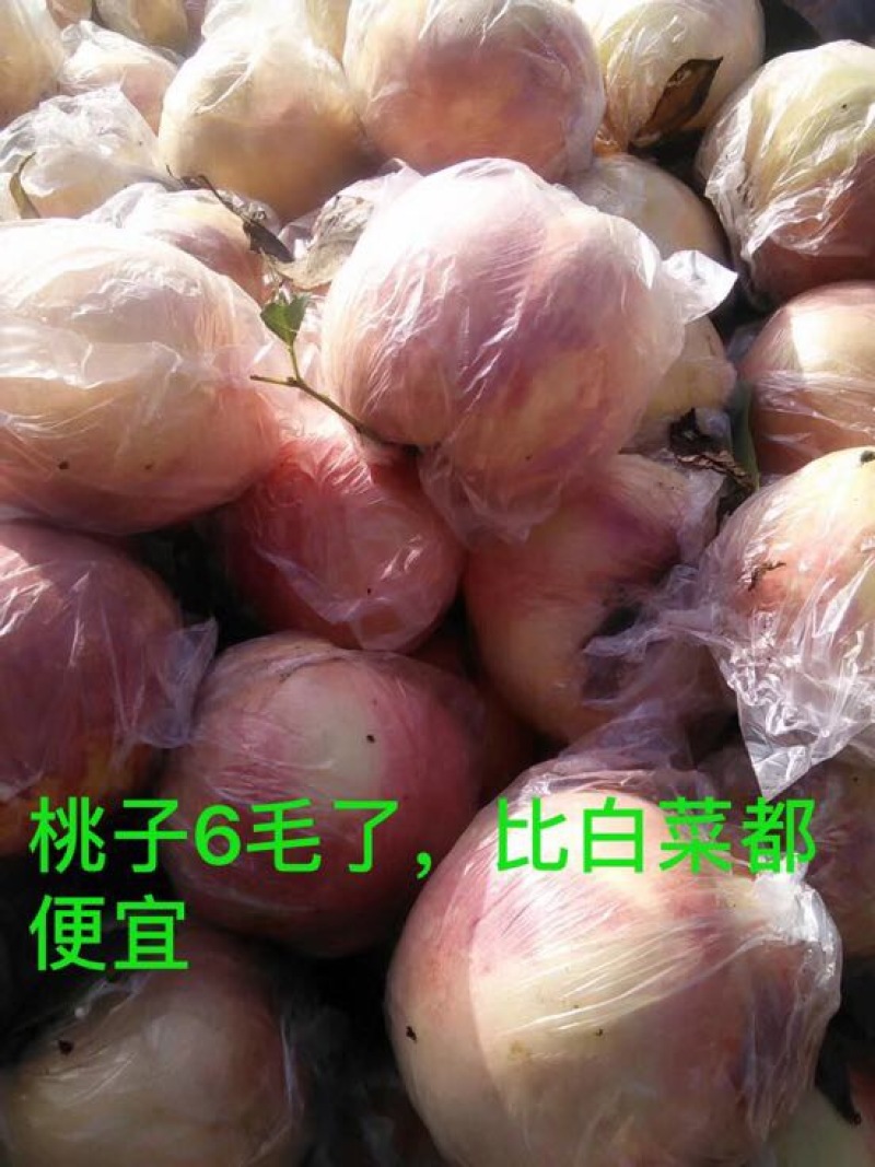陕西毛桃基地70起步口感好颜色亮货源充足诚信商家
