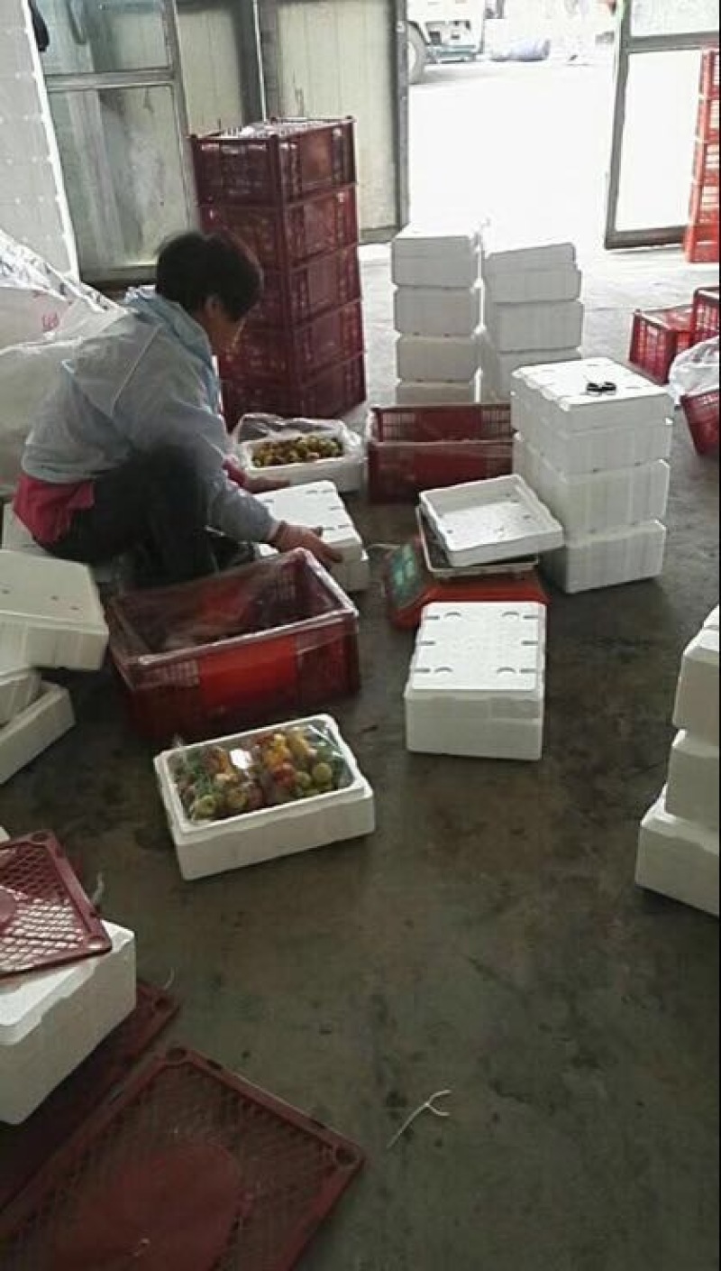 冬枣拐一