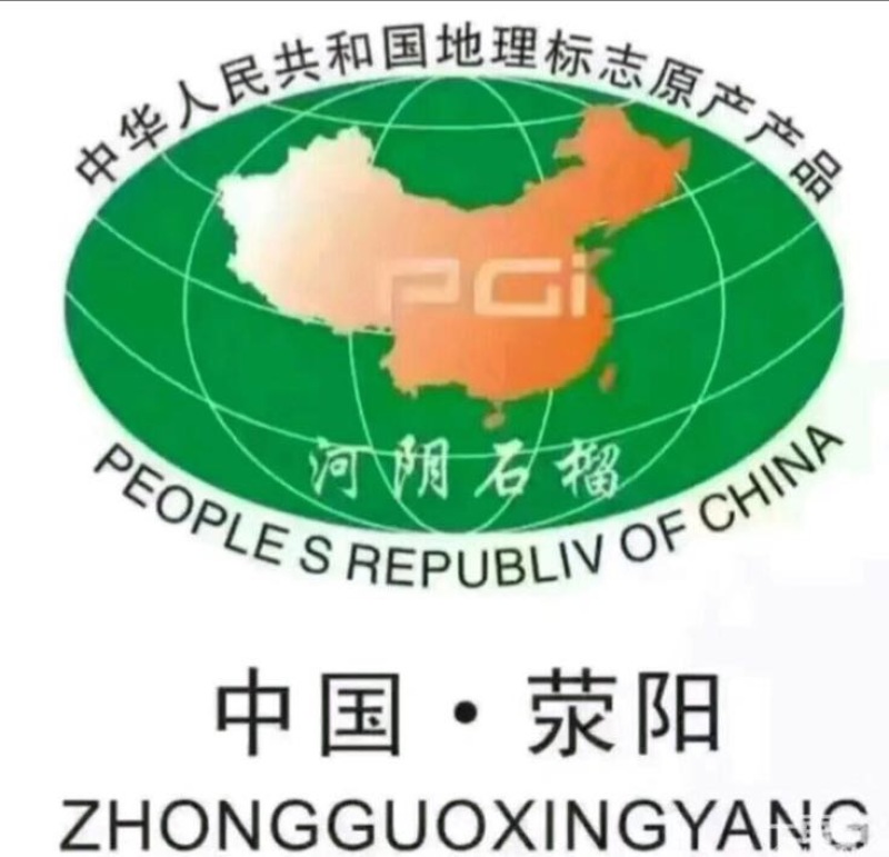 河阴石榴6两~8两