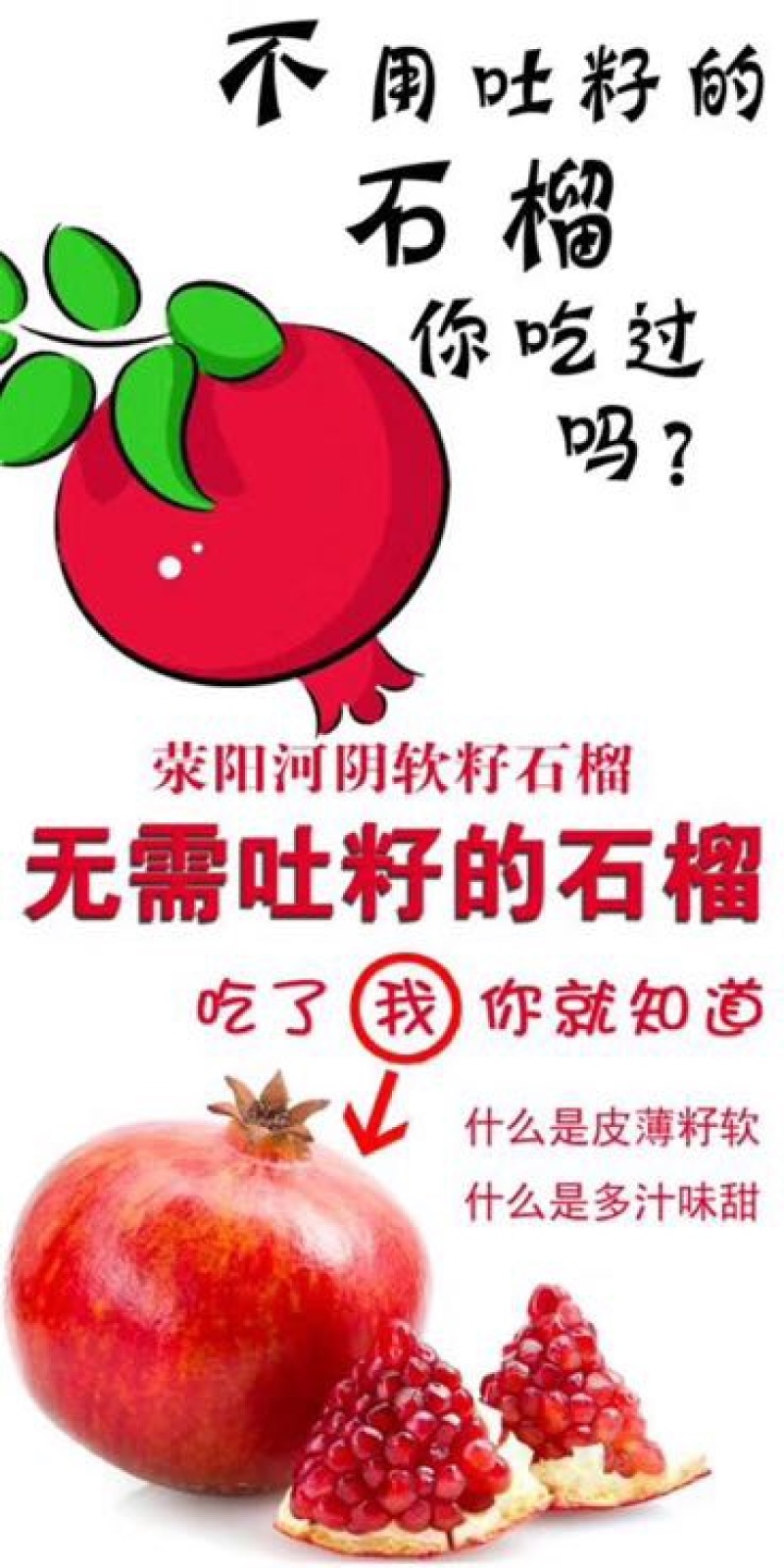 河阴石榴3两~5两