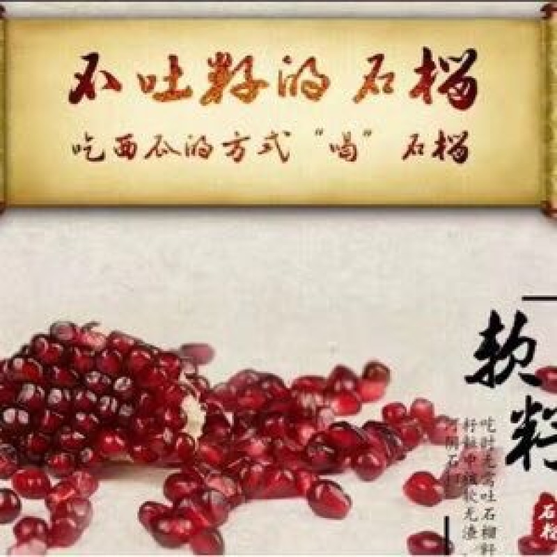 河阴石榴3两~5两