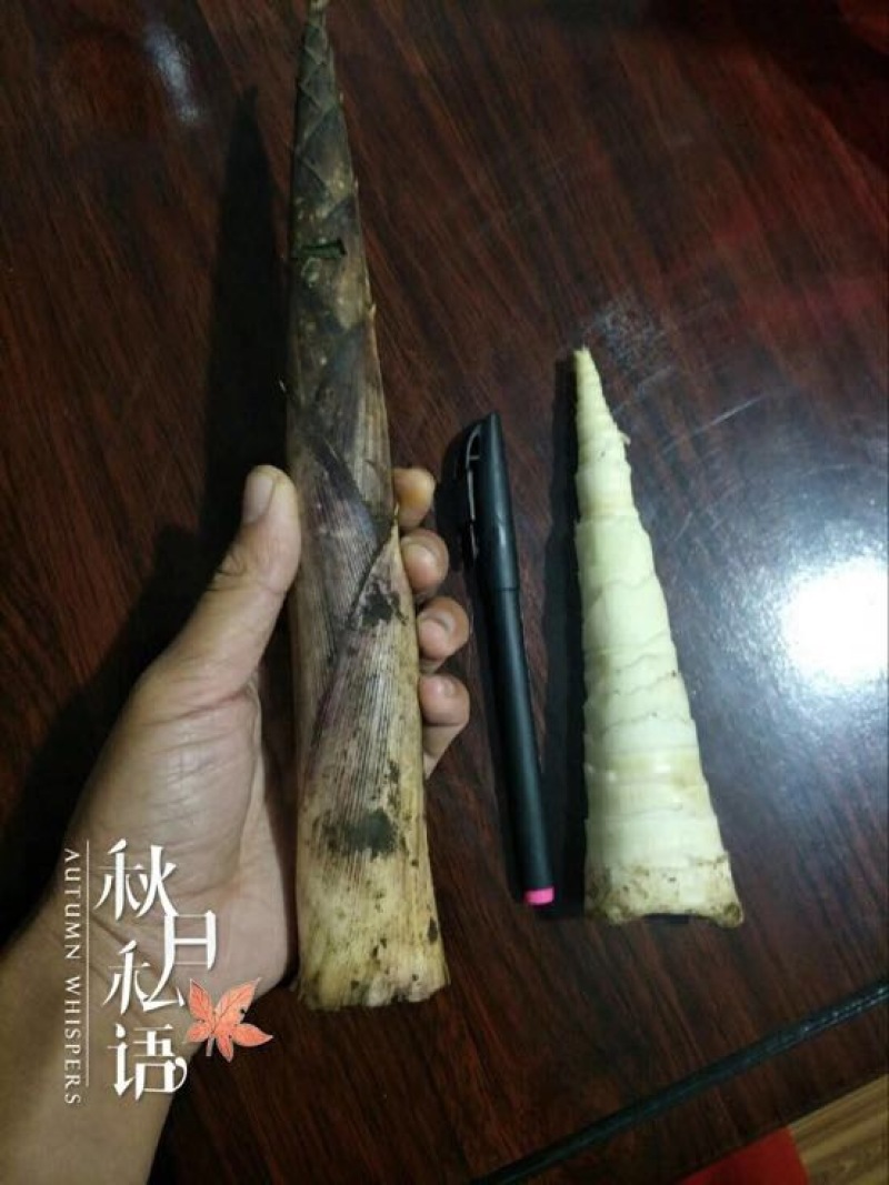 烟笋