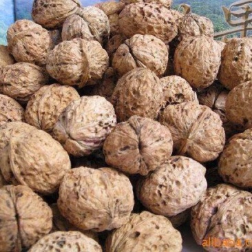 薄皮核桃去皮25mm以下干