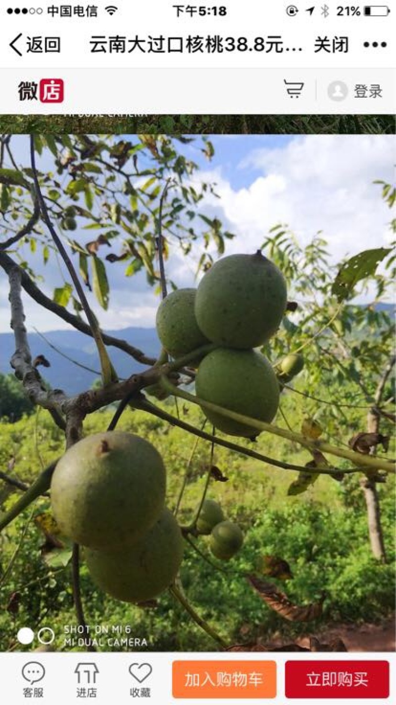 薄皮核桃去皮25mm以下干