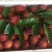 毛丹1.5~2cm