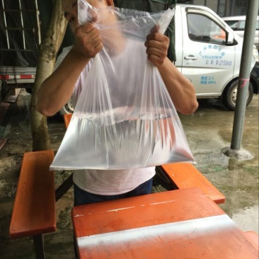 透明袋40*70cm