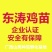 东涛鸡苗60~70克出壳苗通货