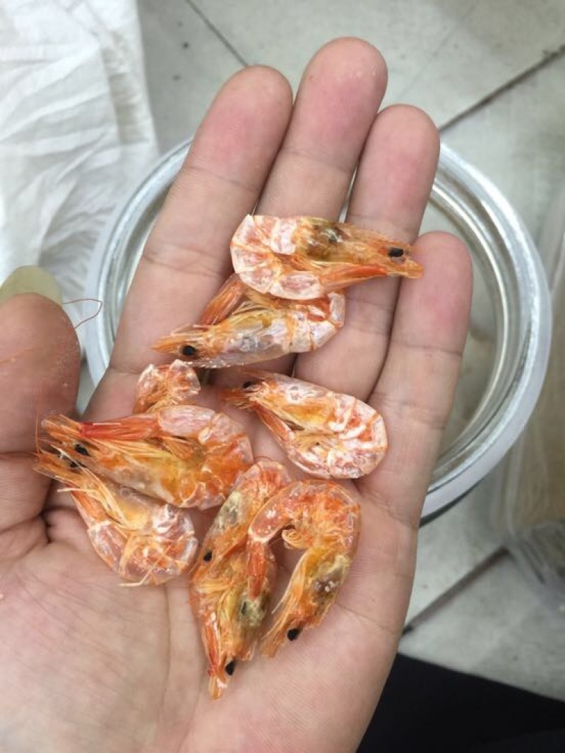 干虾