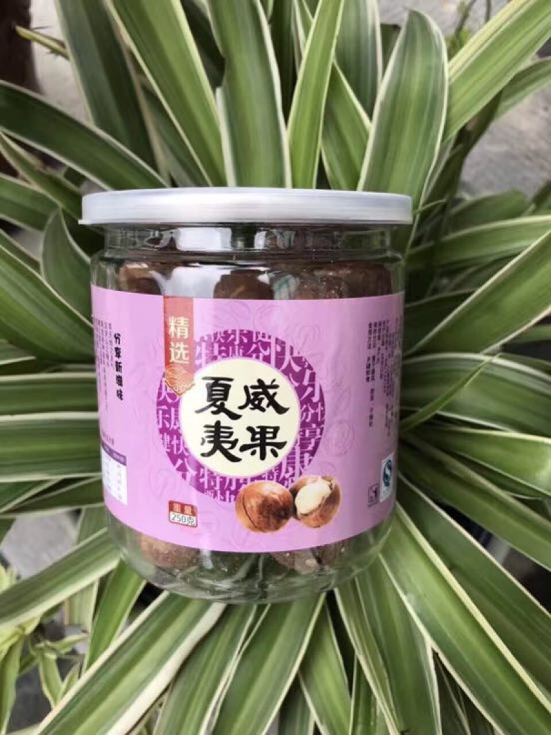 夏威夷果带壳