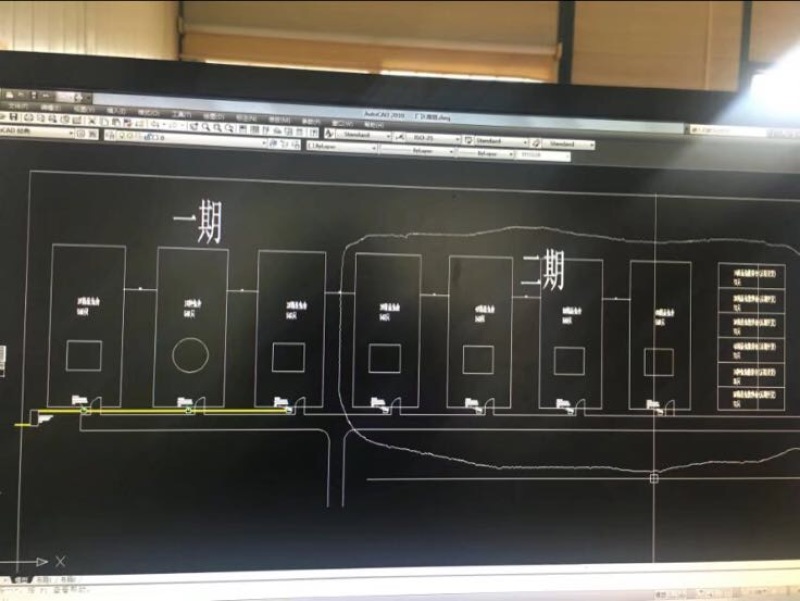 比利时兔3~5