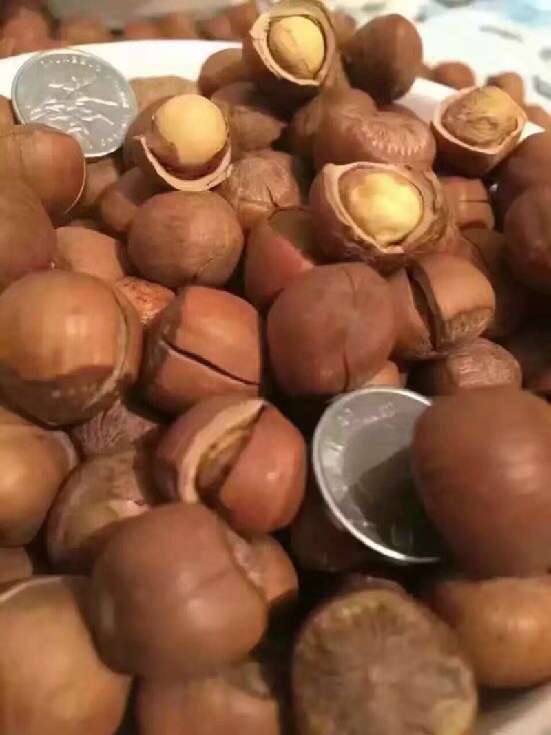 平榛特级