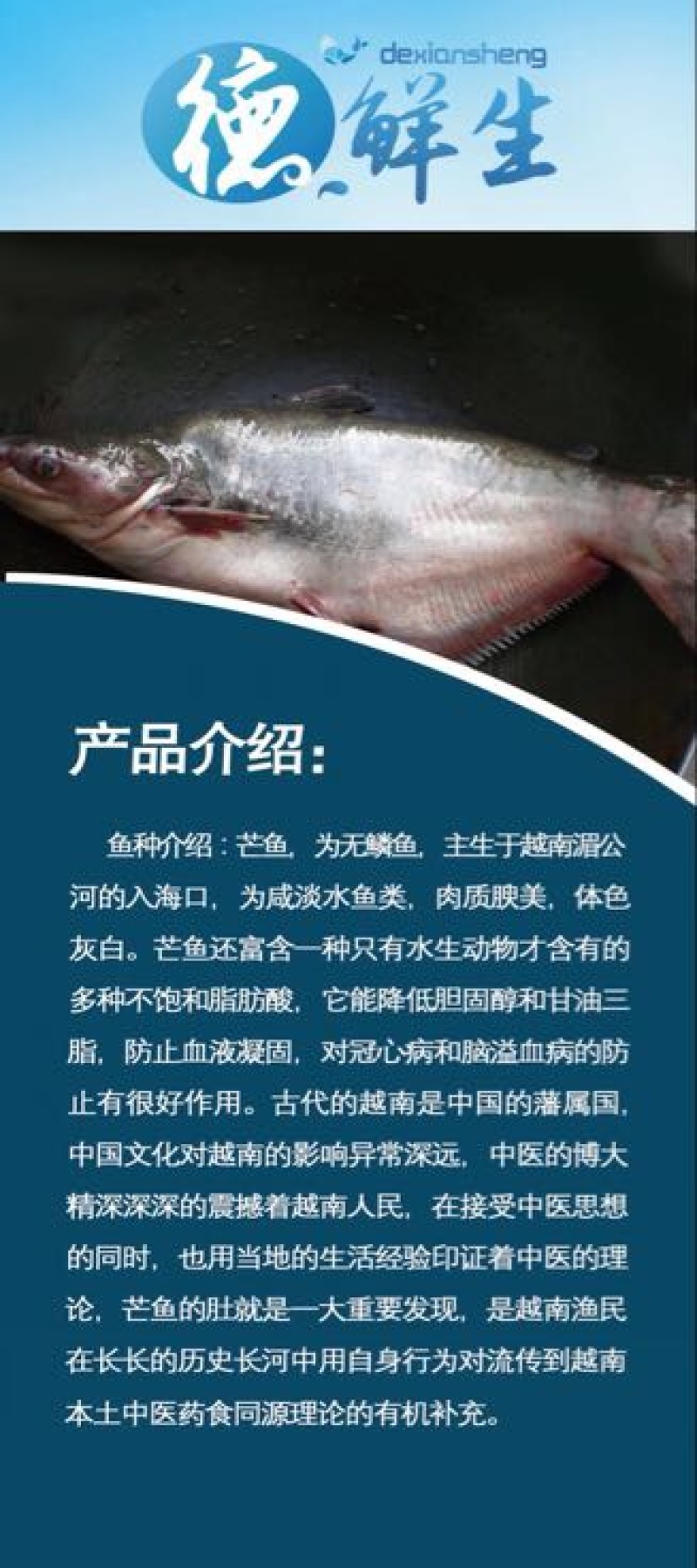 巴沙鱼