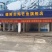 巴沙鱼