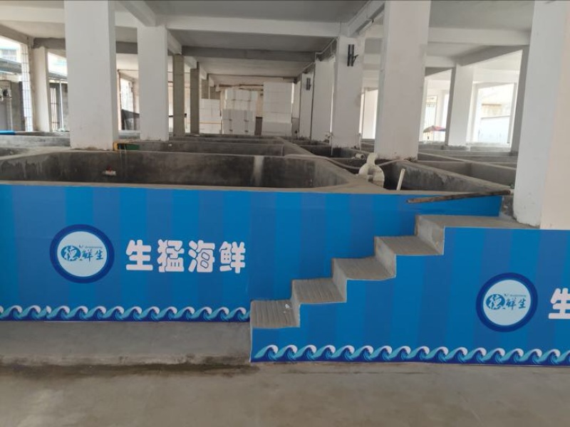 巴沙鱼