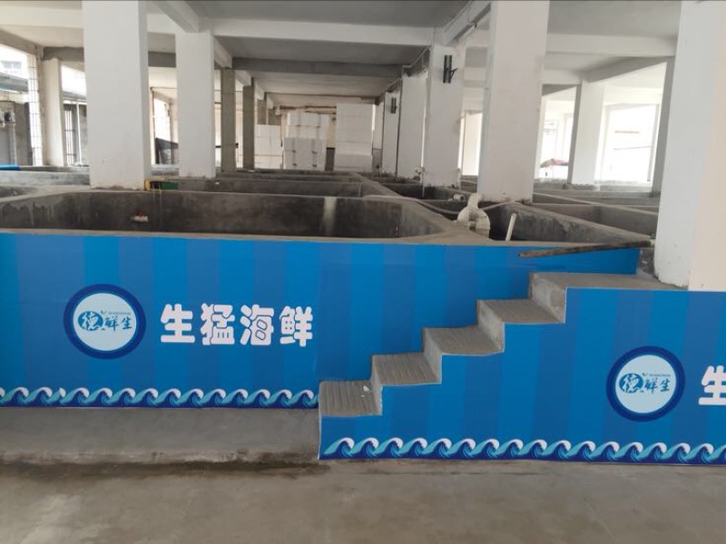 巴沙鱼