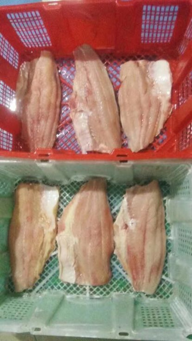 巴沙鱼