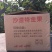 晚秋黄梨