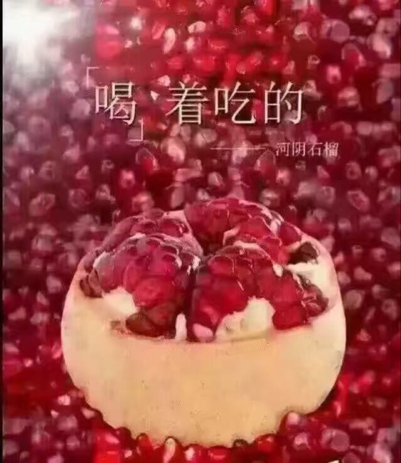 河阴石榴3两~5两