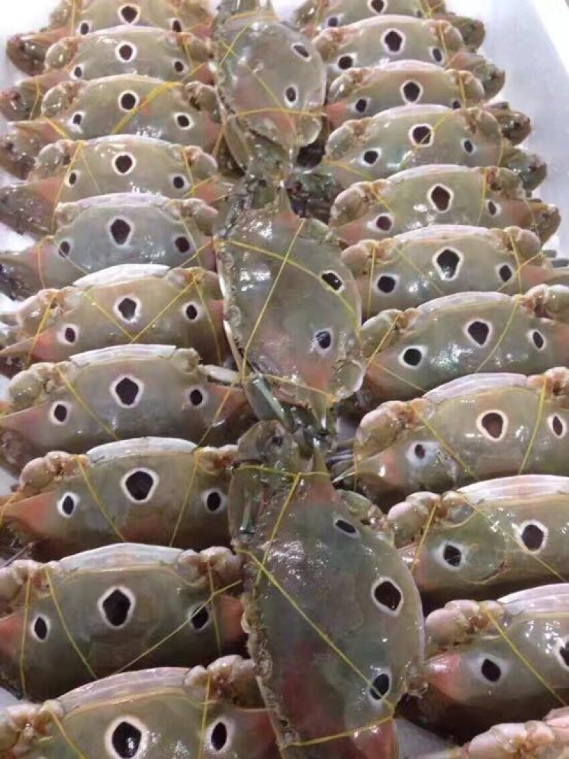 梭子蟹食用