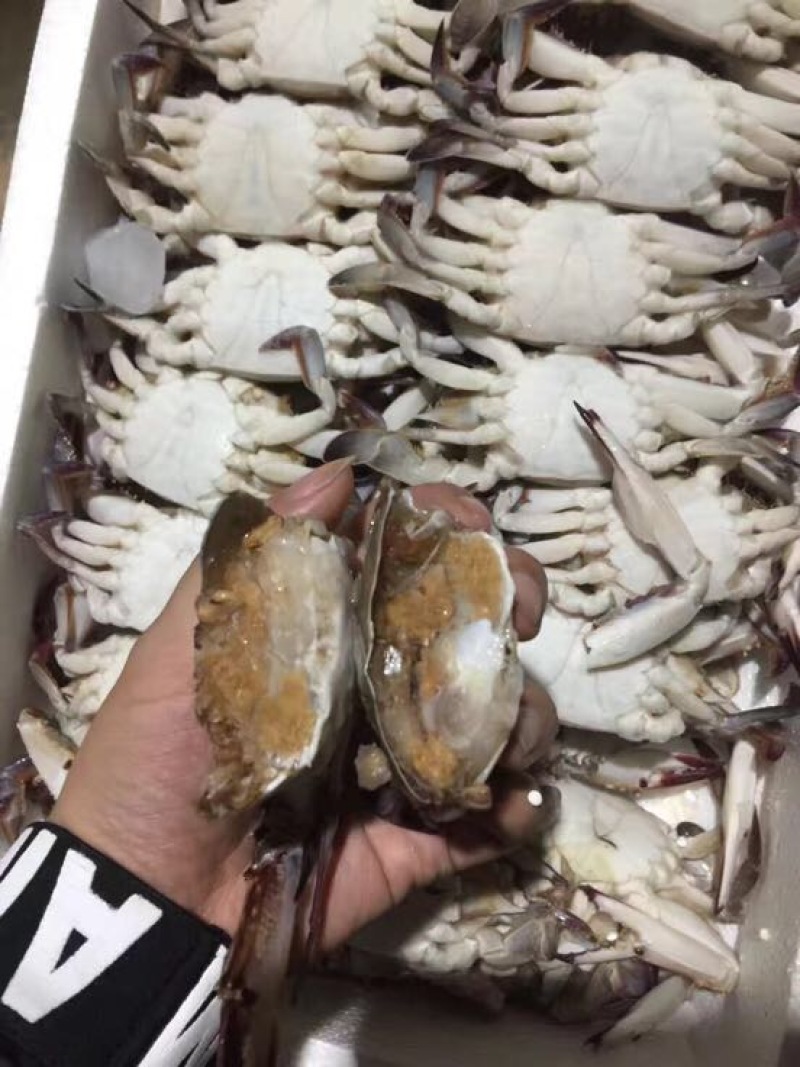 梭子蟹食用