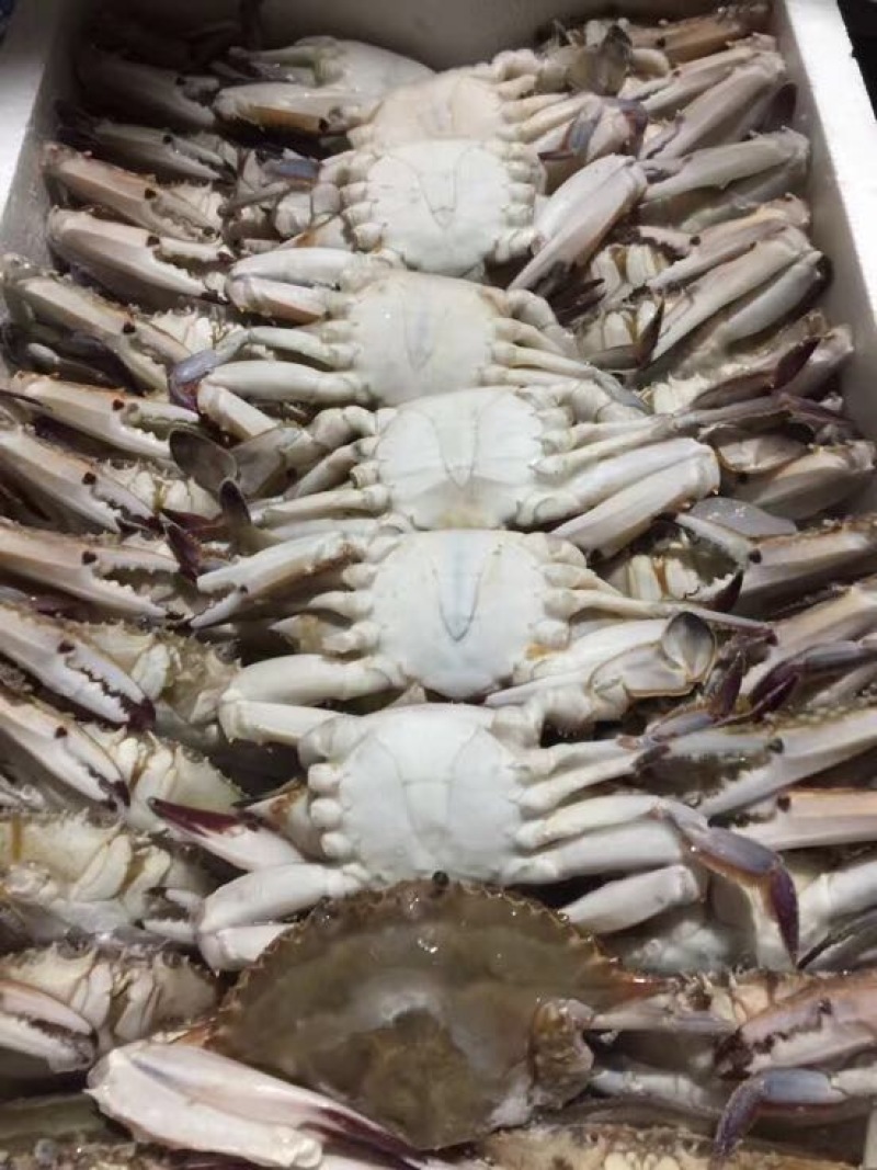 梭子蟹食用