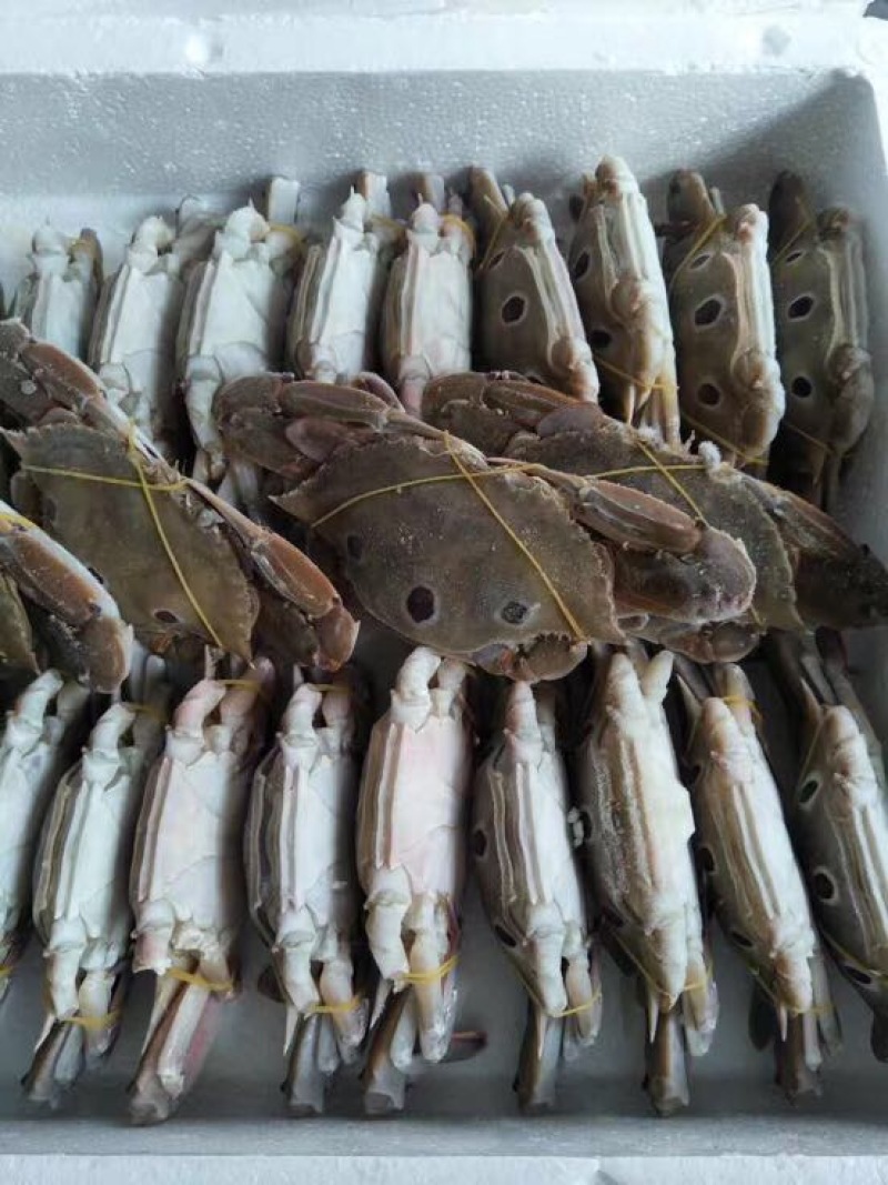 梭子蟹食用