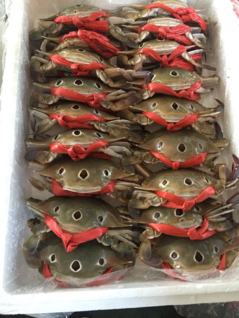 梭子蟹食用
