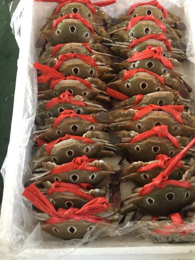 梭子蟹食用