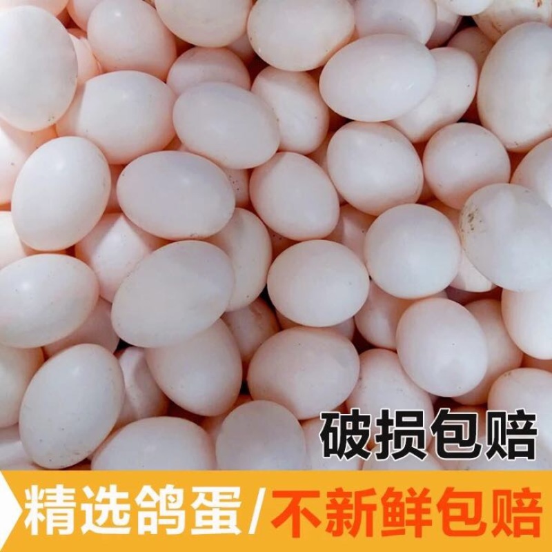 鸽子蛋食用