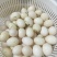 鸽子蛋食用