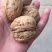 薄皮核桃30mm以上去皮干