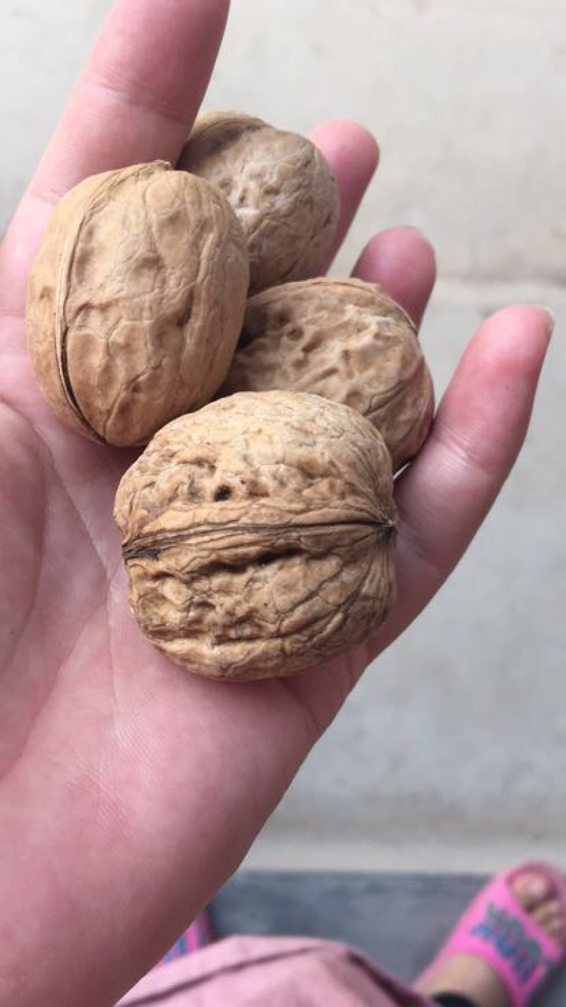 薄皮核桃30mm以上去皮干