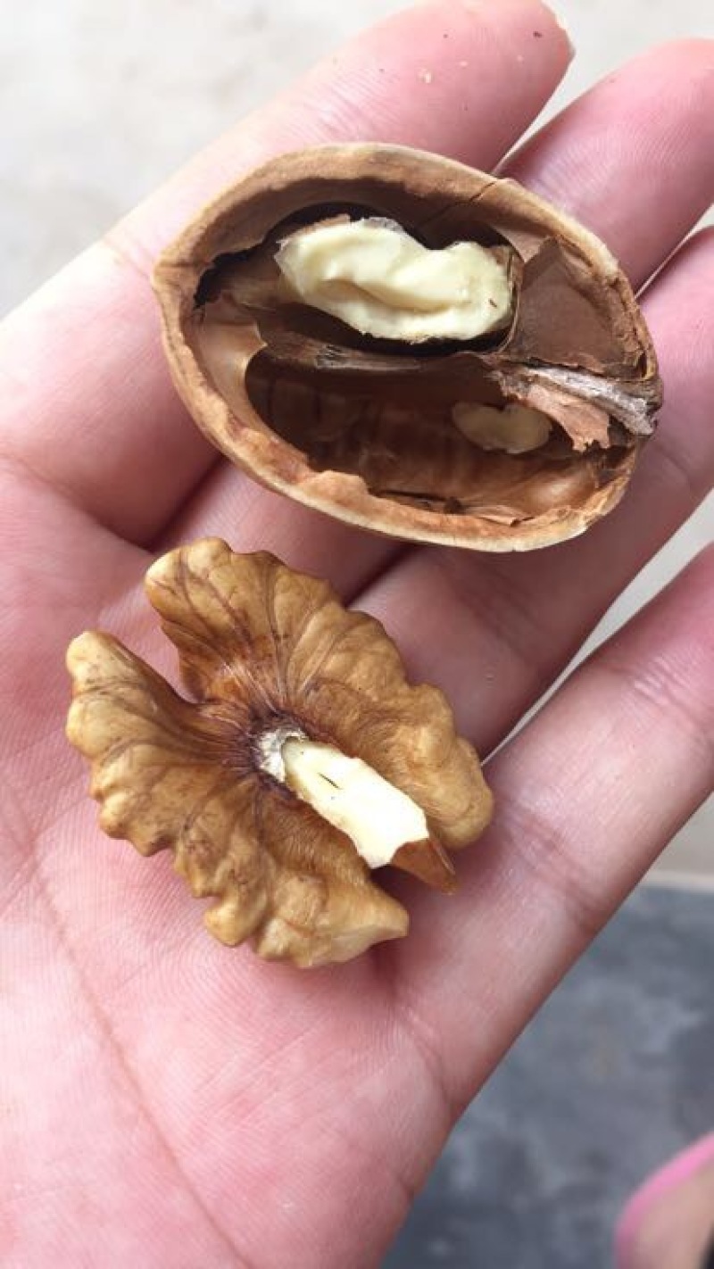 薄皮核桃30mm以上去皮干