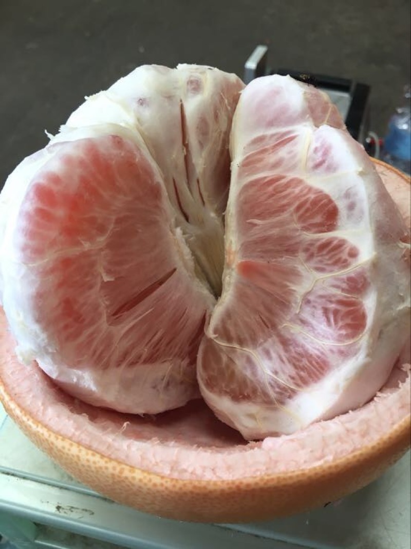 红肉蜜柚2.5斤以上