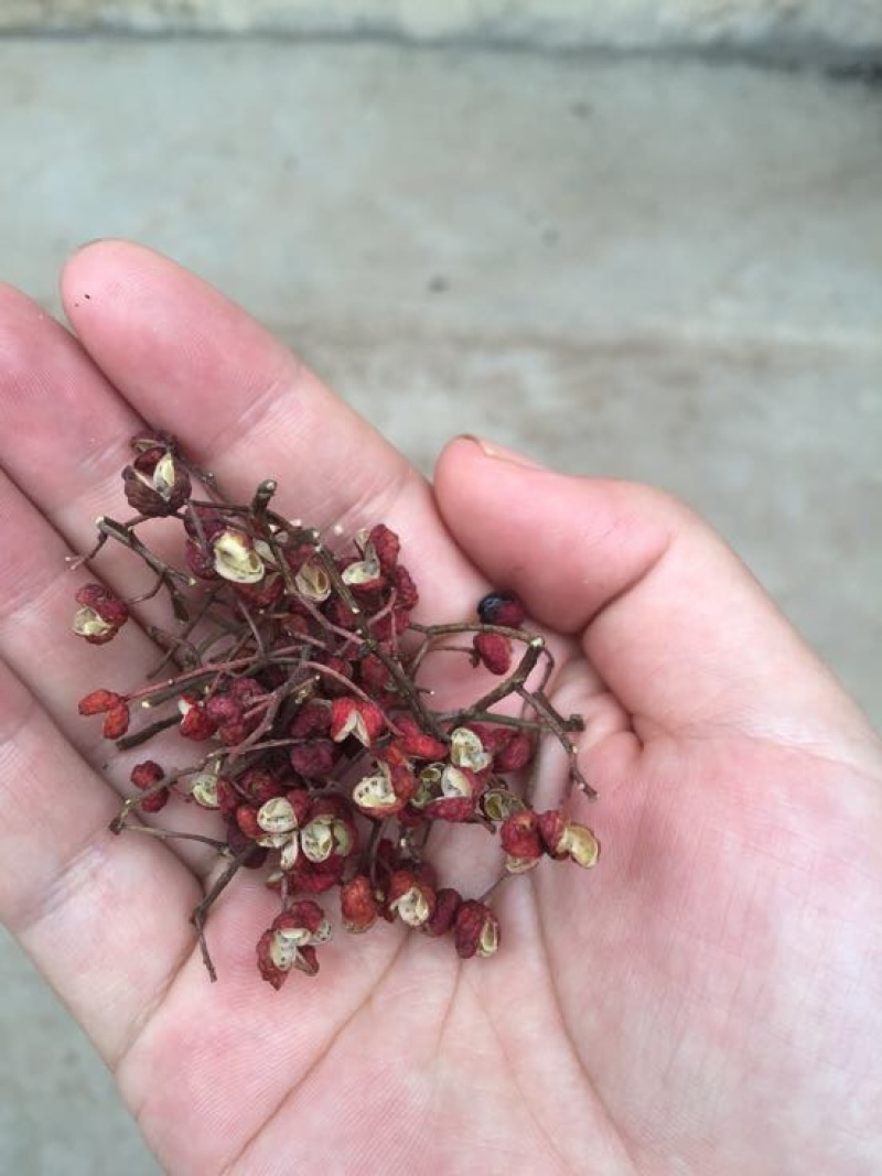 大红袍花椒一级干
