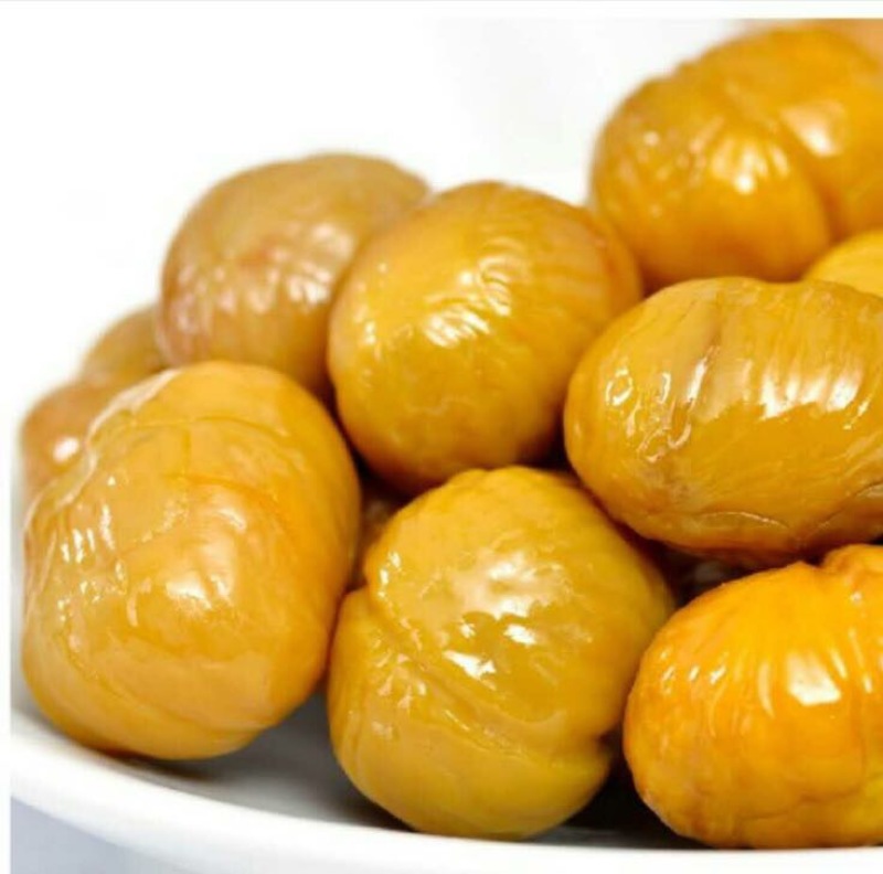 野生板栗中栗菜栗种