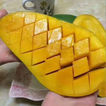 大青芒